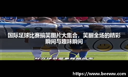 6688体育官网